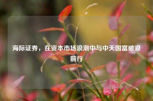 海际证券,在资本市场浪潮中与中天国富破浪前行