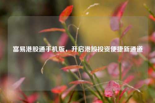 富易港股通手机版,开启港股投资便捷新通道