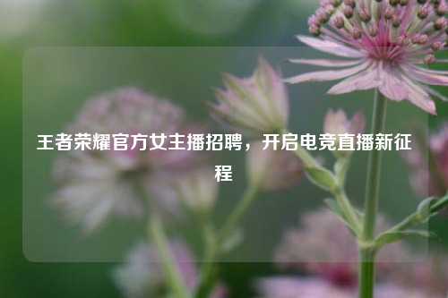 王者荣耀官方女主播招聘，开启电竞直播新征程