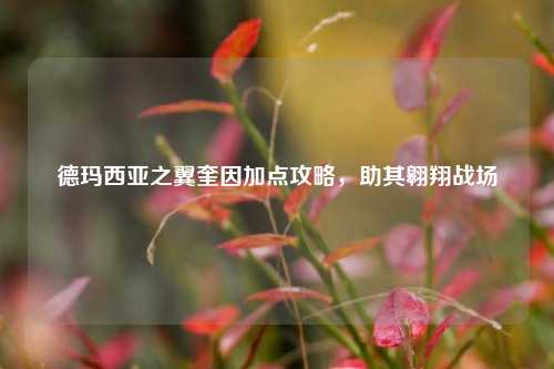 德玛西亚之翼奎因加点攻略，助其翱翔战场