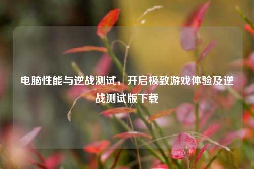 电脑性能与逆战测试，开启极致游戏体验及逆战测试版下载