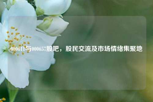 000611与000657股吧，股民交流及市场情绪集聚地