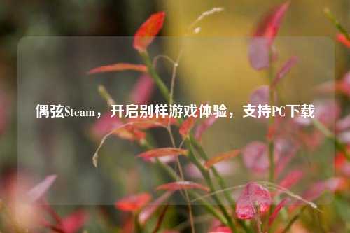 偶弦Steam，开启别样游戏体验，支持PC下载
