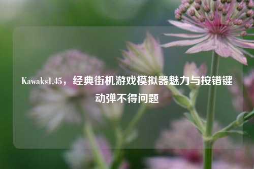 Kawaks1.45，经典街机游戏模拟器魅力与按错键动弹不得问题
