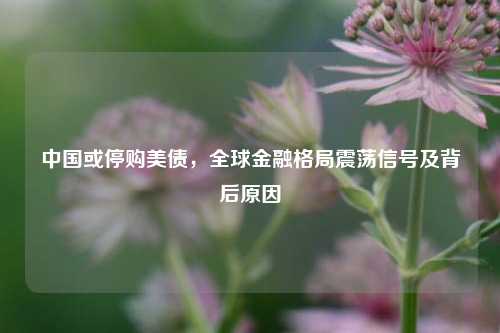 中国或停购美债，全球金融格局震荡信号及背后原因