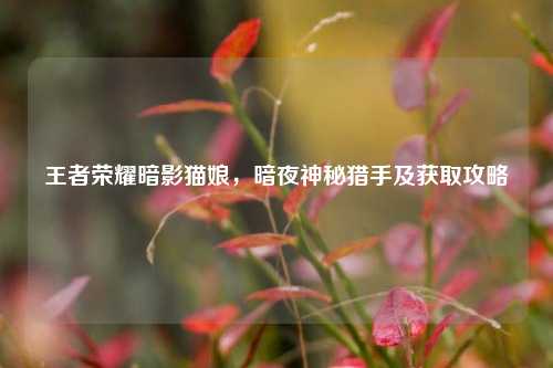 王者荣耀暗影猫娘，暗夜神秘猎手及获取攻略