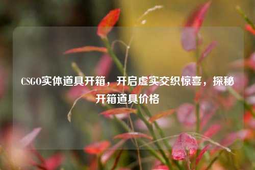 CSGO实体道具开箱,开启虚实交织惊喜,探秘开箱道具价格