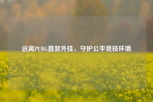 远离PUBG直装外挂，守护公平竞技环境