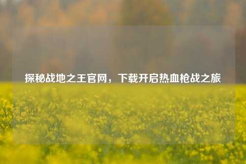 探秘战地之王官网，下载开启热血枪战之旅