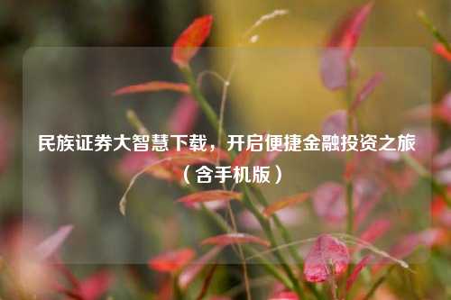 民族证券大智慧下载，开启便捷金融投资之旅（含手机版）