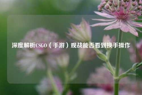 深度解析CSGO(手游)观战能否看到换手操作