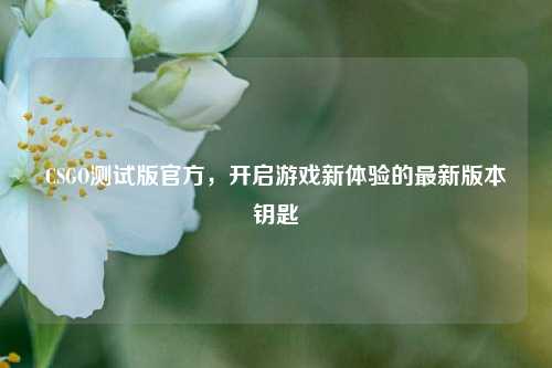 CSGO测试版官方，开启游戏新体验的最新版本钥匙