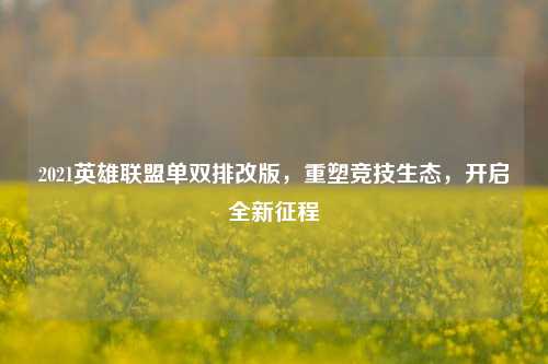 2021英雄联盟单双排改版，重塑竞技生态，开启全新征程