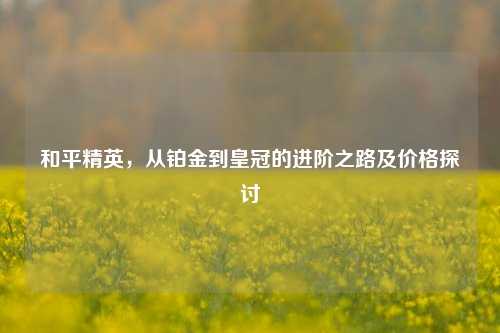 和平精英,从铂金到皇冠的进阶之路及价格探讨