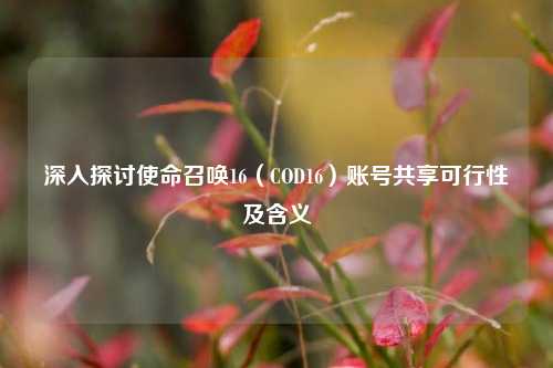 深入探讨使命召唤16(COD16)账号共享可行性及含义