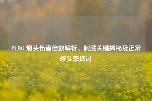 PUBG 爆头伤害倍数解析、制胜关键揭秘及正常爆头率探讨