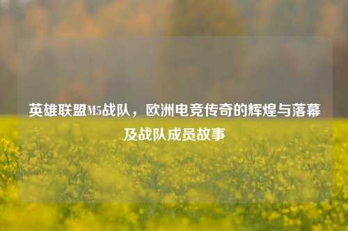 英雄联盟M5战队,欧洲电竞传奇的辉煌与落幕及战队成员故事