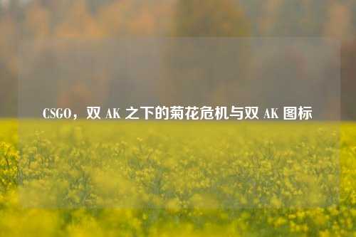 CSGO,双 AK 之下的菊花危机与双 AK 图标