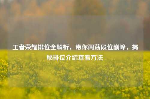 王者荣耀排位全解析,带你闯荡段位巅峰,揭秘排位介绍查看方法