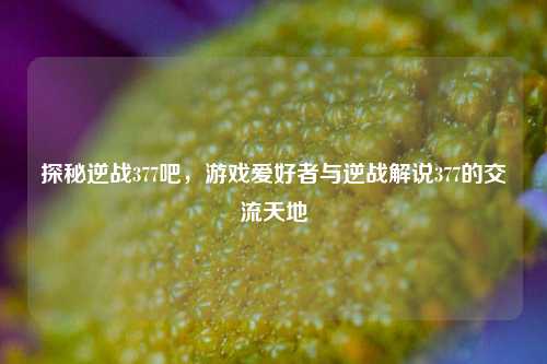探秘逆战377吧,游戏爱好者与逆战解说377的交流天地