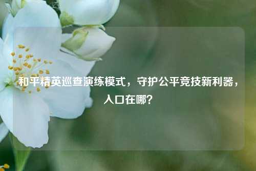 和平精英巡查演练模式，守护公平竞技新利器，入口在哪？