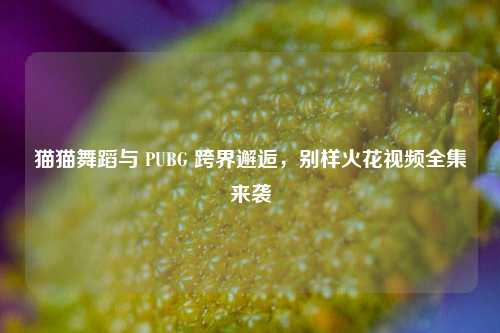 猫猫舞蹈与 PUBG 跨界邂逅，别样火花视频全集来袭