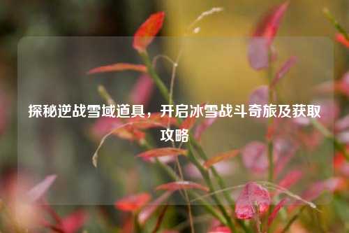 探秘逆战雪域道具，开启冰雪战斗奇旅及获取攻略