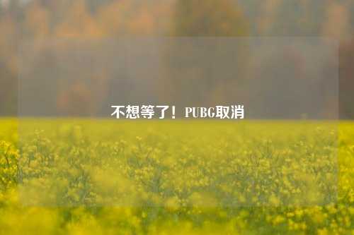 不想等了！PUBG取消