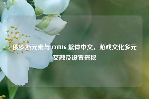 俄罗斯元素与 COD16 繁体中文,游戏文化多元交融及设置探秘