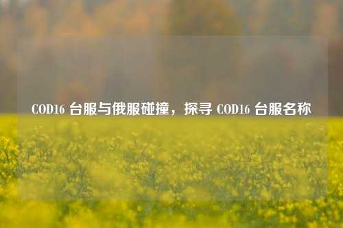 COD16 台服与俄服碰撞,探寻 COD16 台服名称