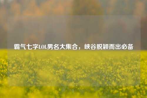 霸气七字LOL男名大集合,峡谷脱颖而出必备