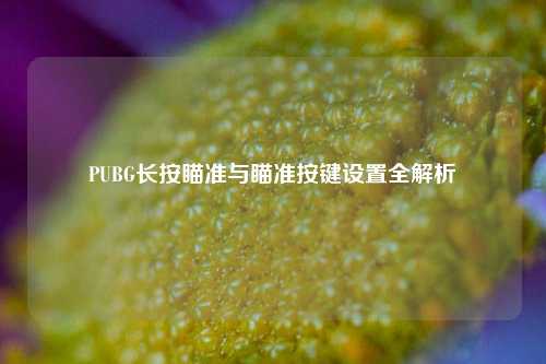 PUBG长按瞄准与瞄准按键设置全解析