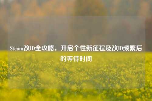 Steam改ID全攻略,开启个性新征程及改ID频繁后的等待时间