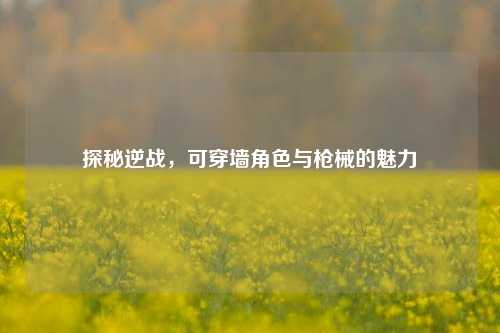 探秘逆战，可穿墙角色与枪械的魅力