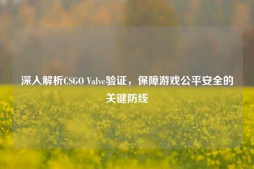 深入解析CSGO Valve验证，保障游戏公平安全的关键防线