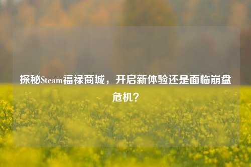 探秘Steam福禄商城,开启新体验还是面临崩盘危机?