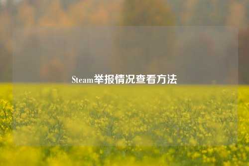 Steam举报情况查看方法