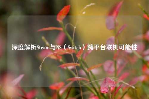 深度解析Steam与NS(Switch)跨平台联机可能性