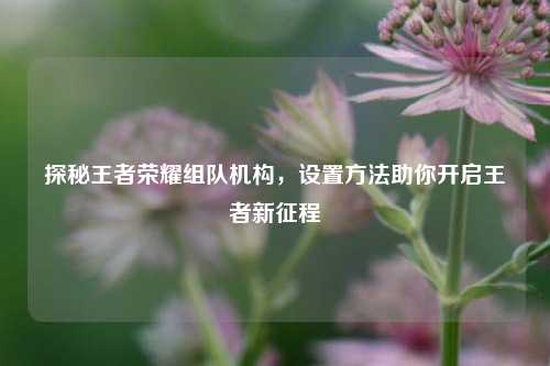 探秘王者荣耀组队机构，设置方法助你开启王者新征程