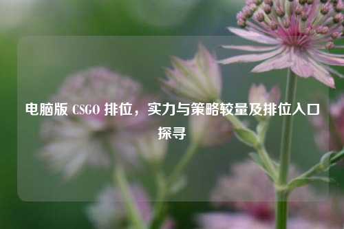 电脑版 CSGO 排位,实力与策略较量及排位入口探寻