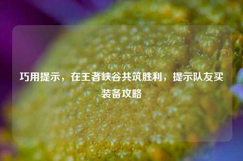 巧用提示，在王者峡谷共筑胜利，提示队友买装备攻略