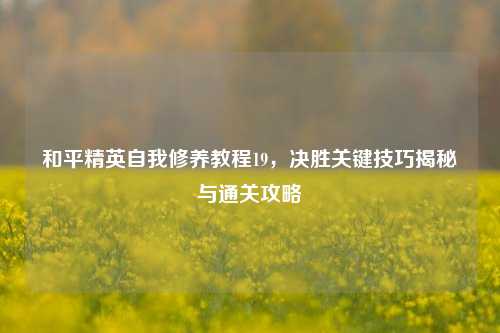 和平精英自我修养教程19，决胜关键技巧揭秘与通关攻略
