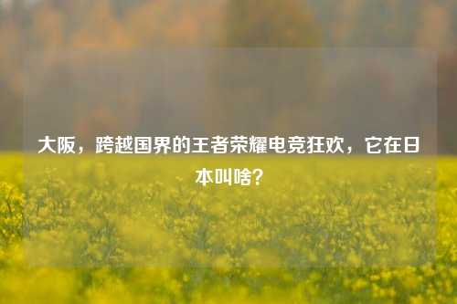 大阪，跨越国界的王者荣耀电竞狂欢，它在日本叫啥？
