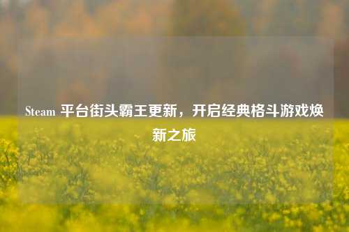 Steam 平台街头霸王更新,开启经典格斗游戏焕新之旅