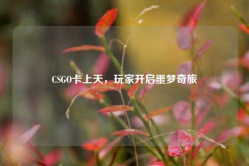 CSGO卡上天，玩家开启噩梦奇旅