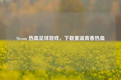 Steam 热血足球游戏，下载重温青春热血