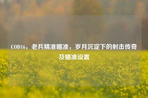 COD16，老兵精准瞄准，岁月沉淀下的射击传奇及瞄准设置