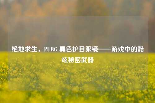 绝地求生，PUBG 黑色护目眼镜——游戏中的酷炫秘密武器