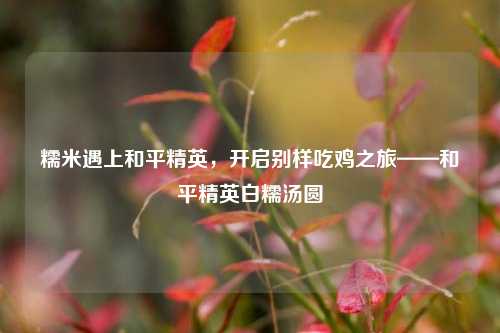 糯米遇上和平精英，开启别样吃鸡之旅——和平精英白糯汤圆