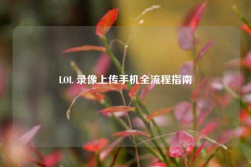 LOL 录像上传手机全流程指南